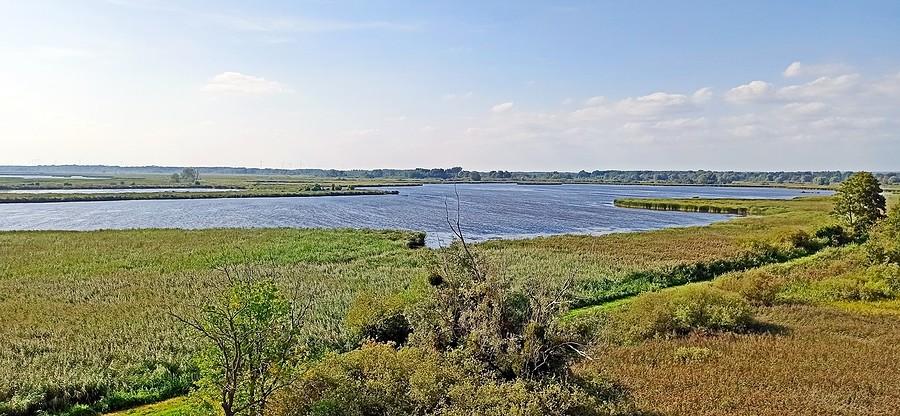 Rezerwat przyrody "Stawy Przemkowskie"- ostoja ptactwa wodnego (250 gatunków)