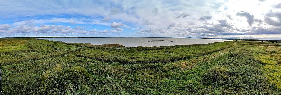 Panorama Jeziora Gardno z wierzy widokowej.