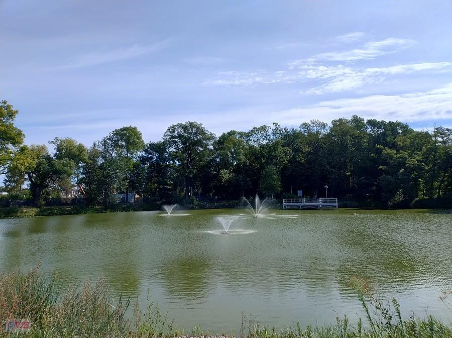 Staw w Ołtarzewie