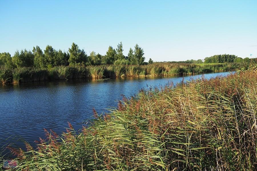 Wisła Królewiecka