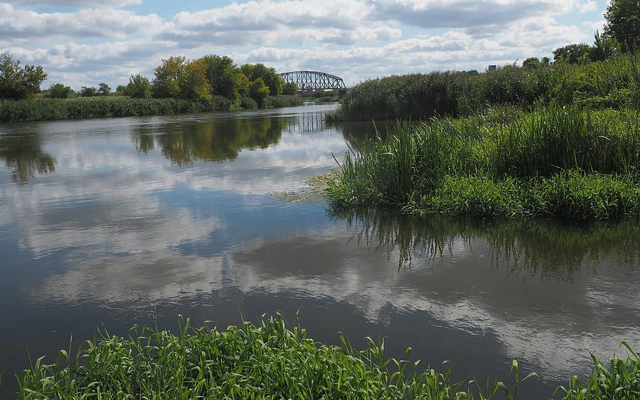 Ujście Obry
