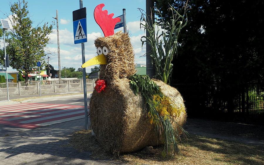 Gmina Deszczno kurczakami stoi