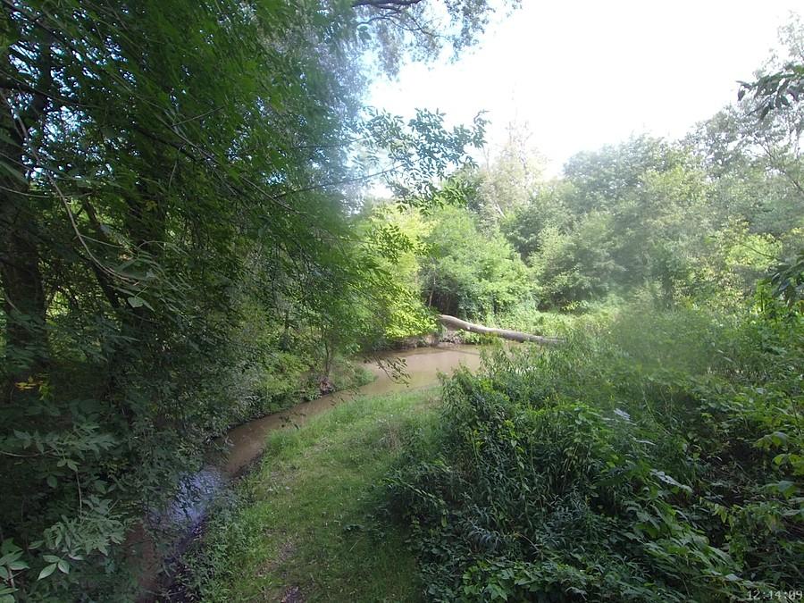 Rzeczka Czarna, dopływ Jeziorki