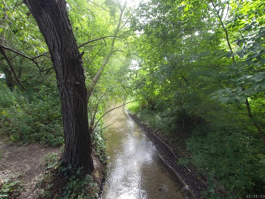 Rzeczka Czarna w Żabieńcu