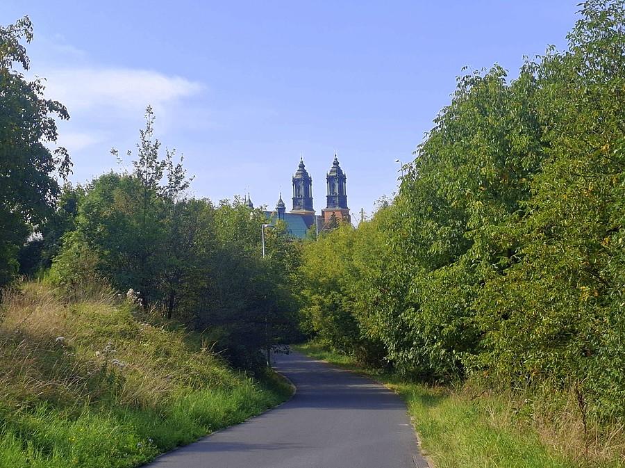 Katedra widziana z Wartostrady