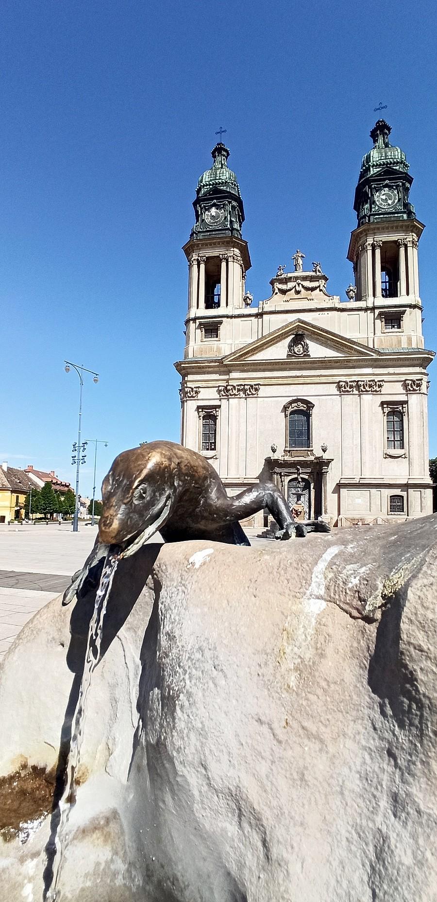 Główny plac miasta (Fo ter) w Papie na Węgrzech