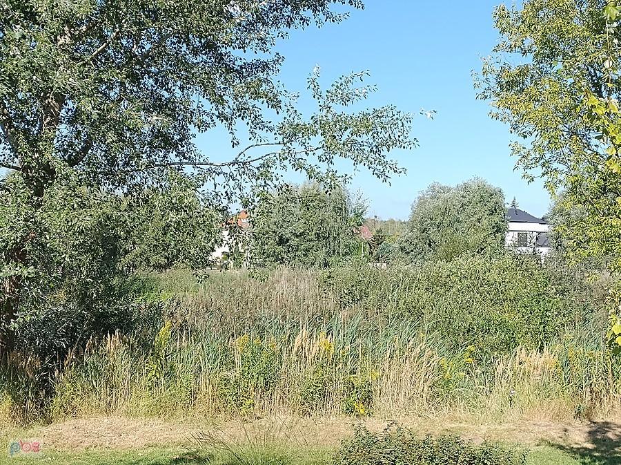 Tu powinien być widoczny staw, ale woda opadła a trawa wyrosła, więc niewiele widać