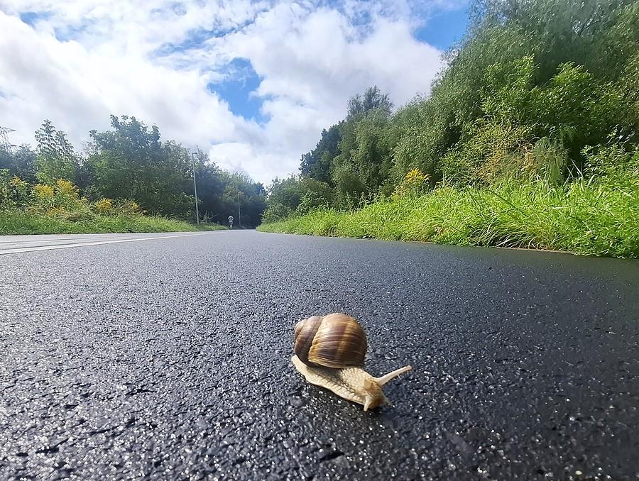 Wartostradowy wędrowiec