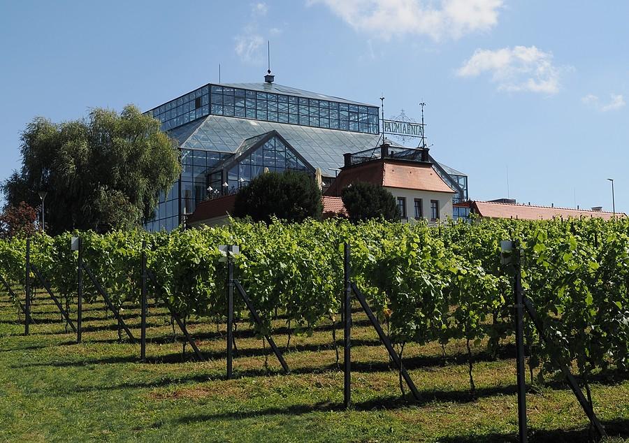 Palmiarnia Zielonogórska na Winnym Wzgórzu