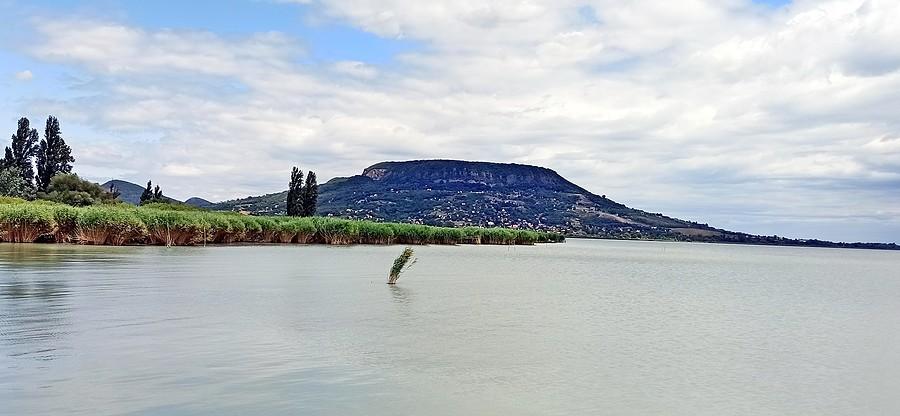 Balaton i Badacsony, charakterystyczna wulkaniczna góra słynąca z winnic i pięknego krajobrazu