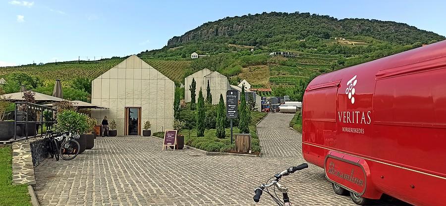 In vino veritas. Winiarnia i winobus u stóp góry Badacsony