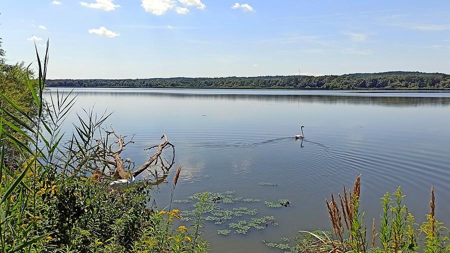 Kis-Balaton (Mały Balaton)