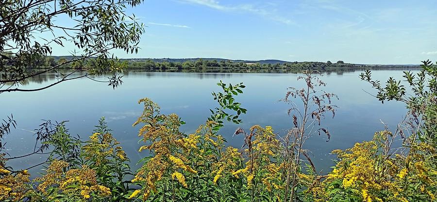 Kis-Balaton