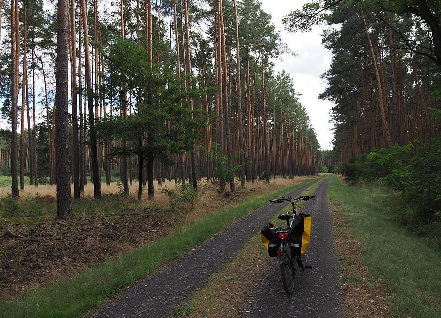 Droga z Sułowa w kierunku Gajca