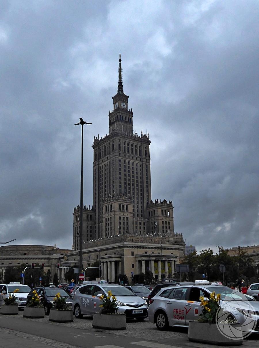 wyłania się z lasu taksówek