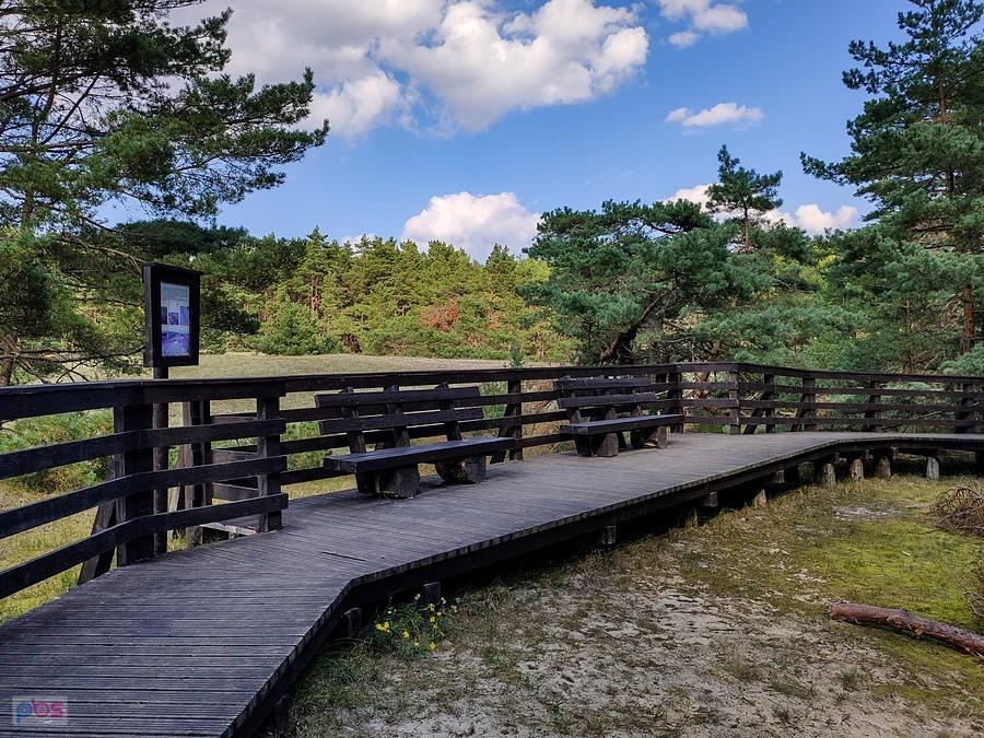 Pomost edukacyjny przy jeziorze Gardno