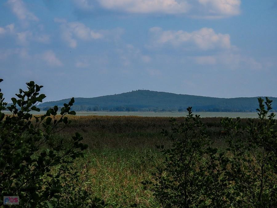 Rowokół z pomostu przy j. Gardno