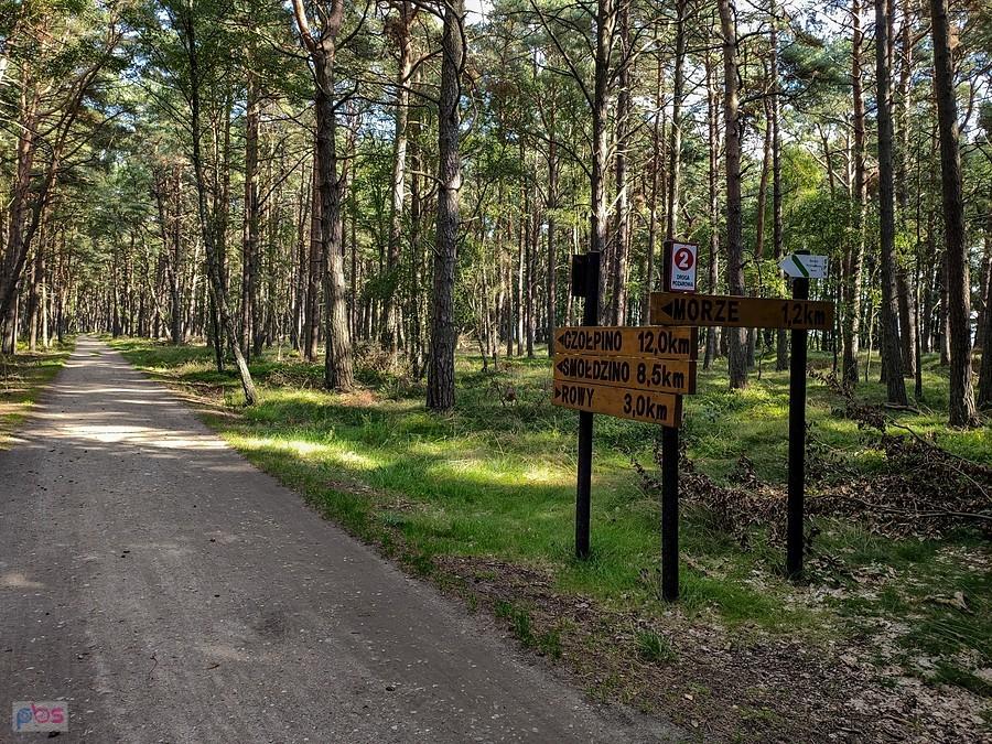 E9 przy skrzyżowaniu z czarnym szlakiem