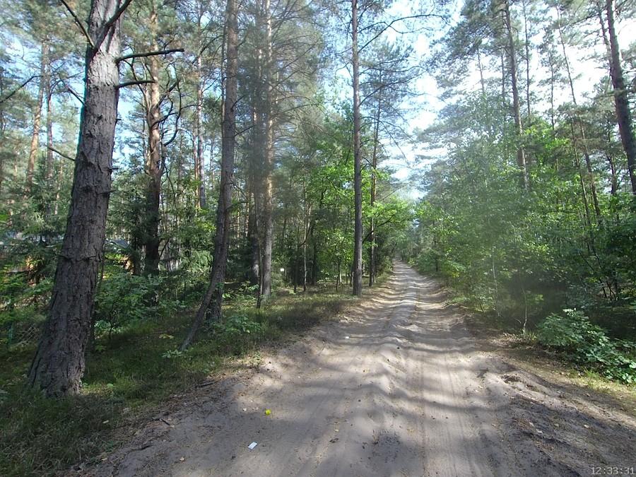 Ulica Bolka i Lolka