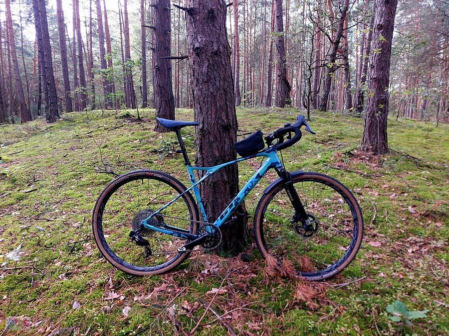 GT Grade w lesie