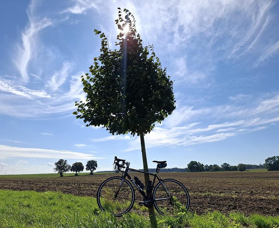 Oświecona rowerówka