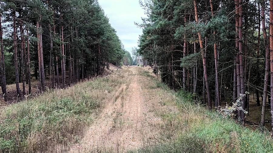 Nasyp po dawnej linii kolejowej