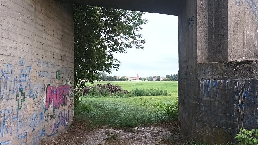 Skwierzyna spod mostu