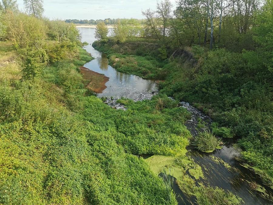 Jeziorka w zieleni