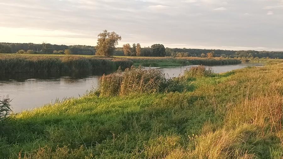 Warta o zmierzchu