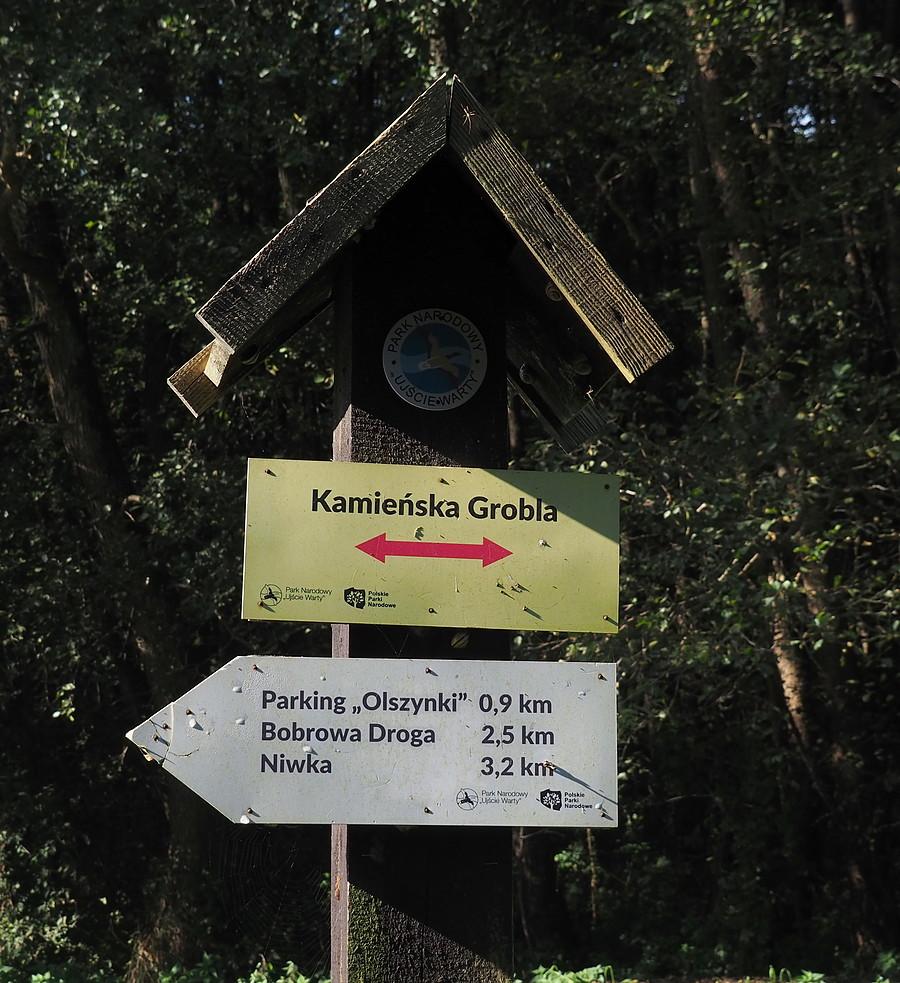 Jadę Kamieńską Groblą do Kamienia Małego