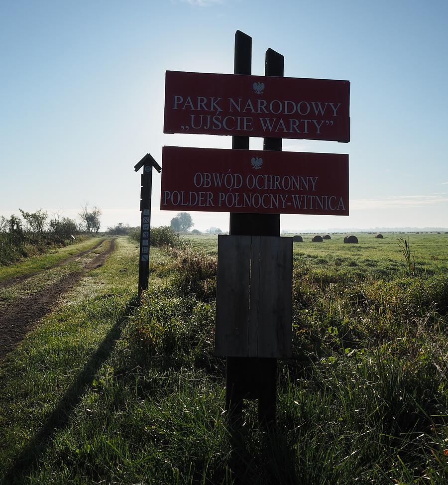 Park Narodowy Ujście Warty - Polder Północny
