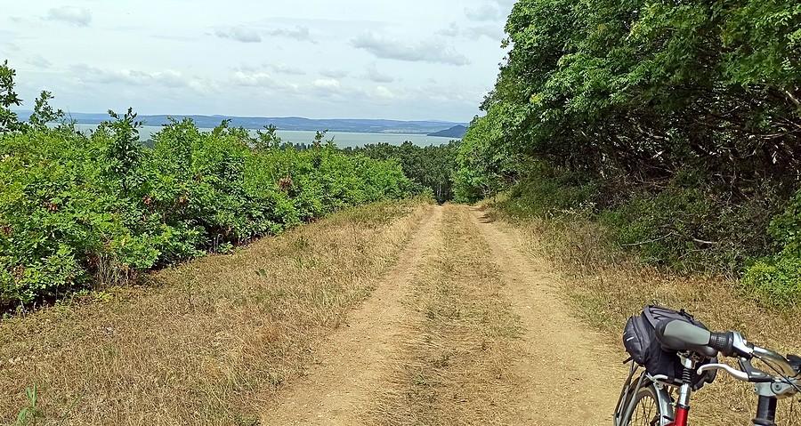 Wysoczyzny Zadunajskie czyli wzgórza i górki nad Balatonem na południowym brzegu w komitacie Somogy
