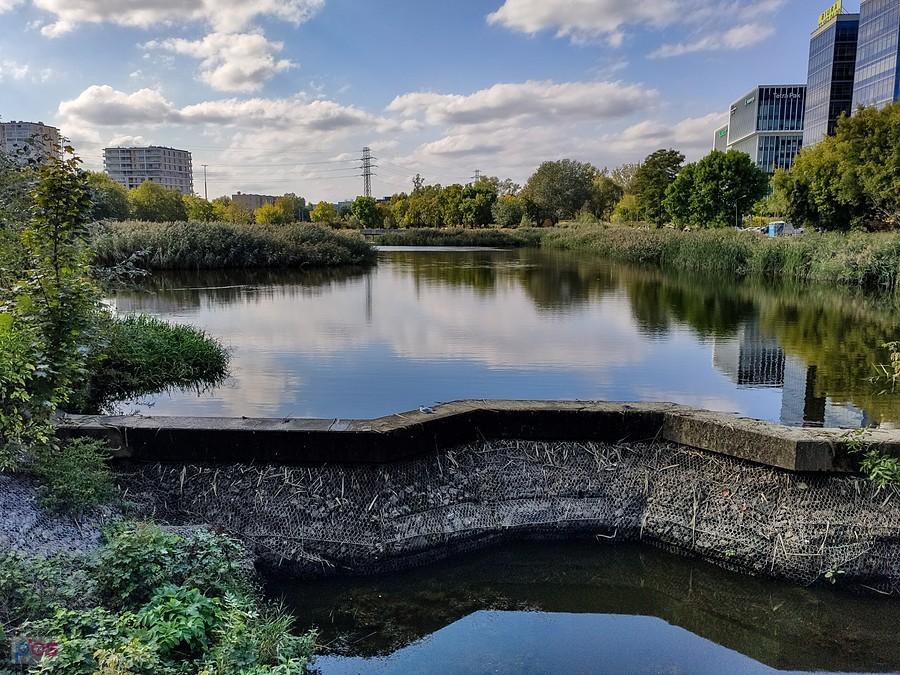Staw Służewiecki - susza, brak wody na przelewie
