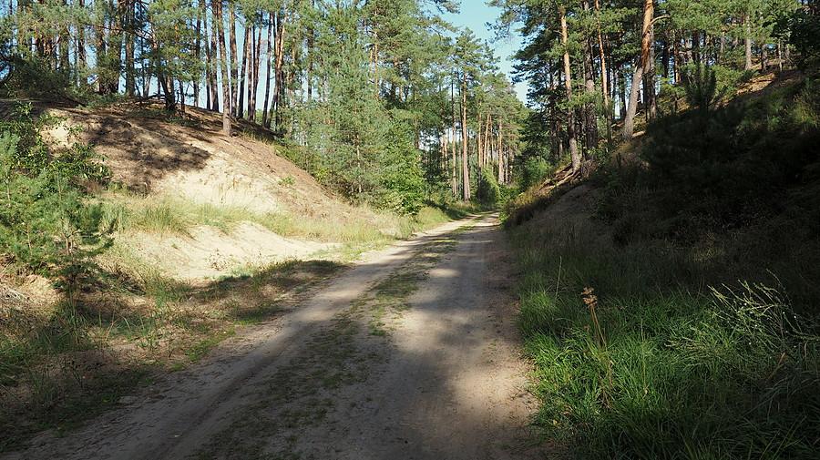 Droga pożarowa