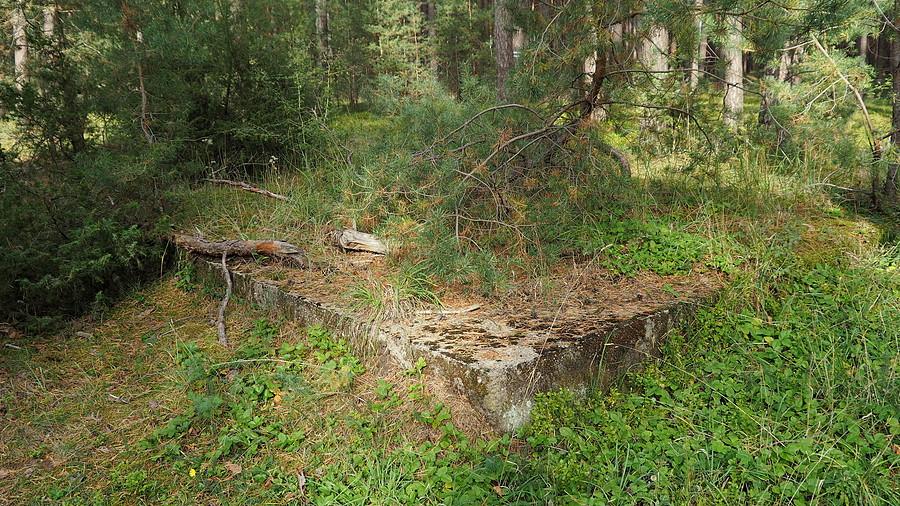 W srodku lasu. Fundament jakiegoś baraku.