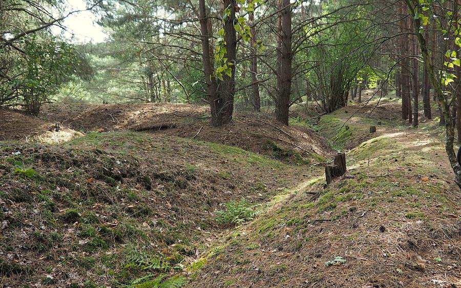 Świetnie zachowane linie okopów nad Obrą