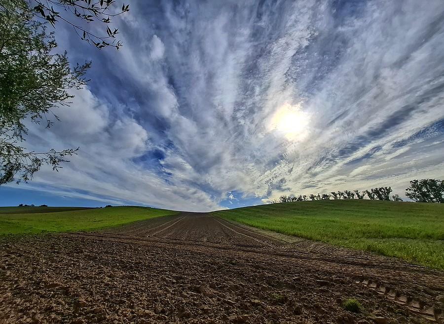 Pejzaż horyzontalny
