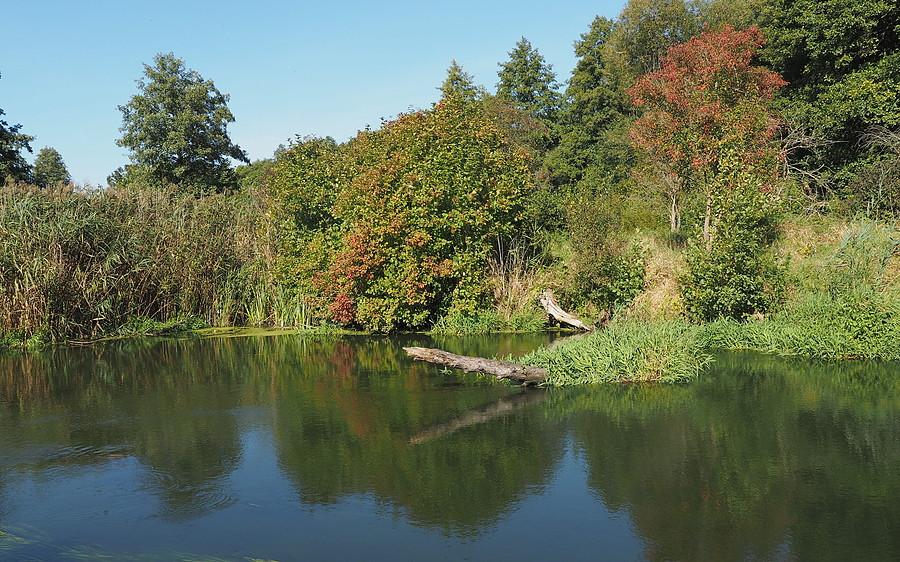 Jesień nad Obrą