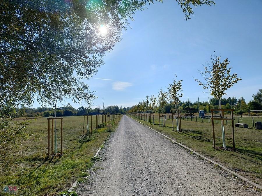 Dalej droga prowadzi przez pola