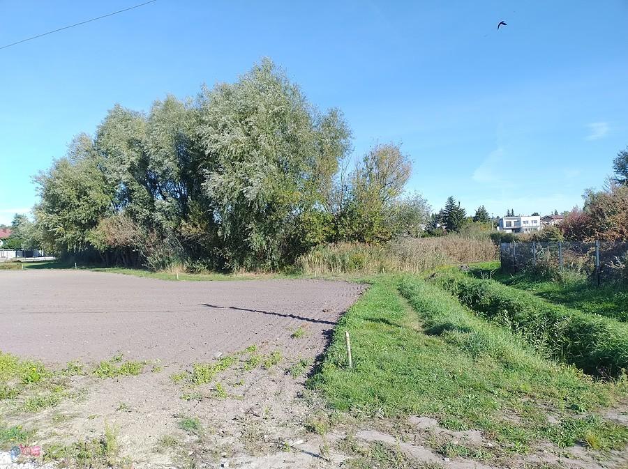 Za tymi drzewami jest staw w Bliznem. W tym miejscu bez możliwości podjechania bliżej