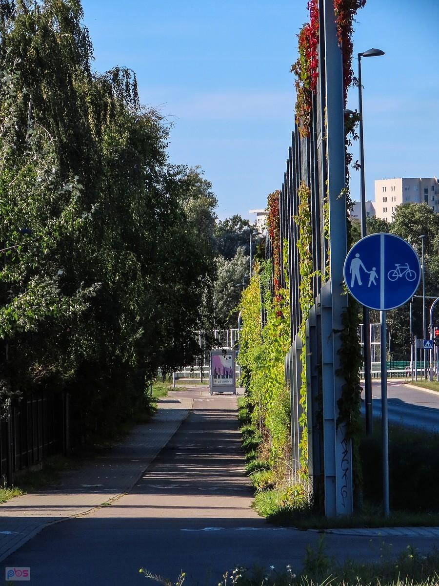 DDR-ka schowana za ekranem ul. Karbońskiego