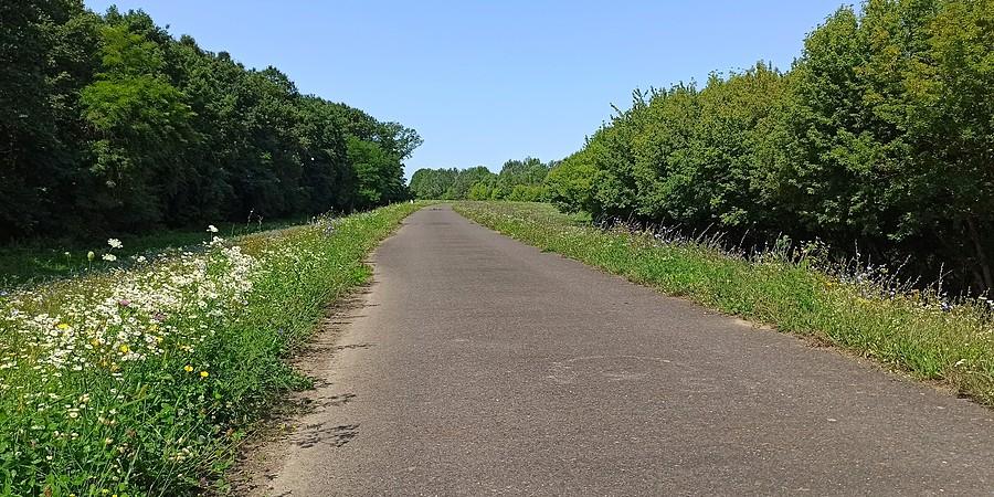 Kwietna trasa rowerowa wzdłuż Cisy