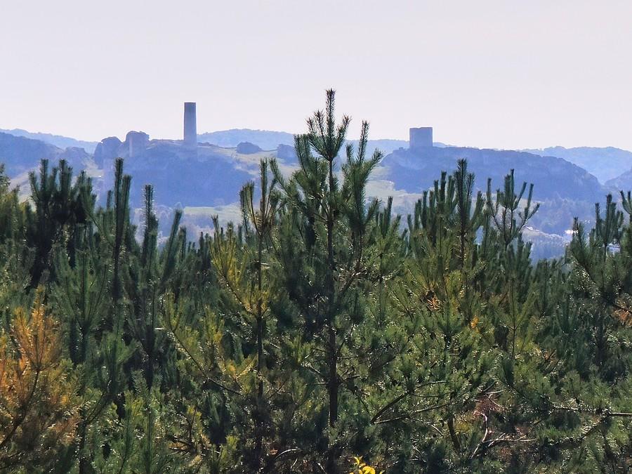 Wzgórze zamkowe w Olsztynie z Towarnych.
