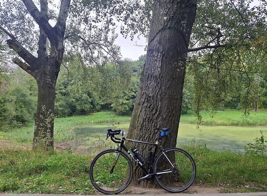 Rowerówka parkowa