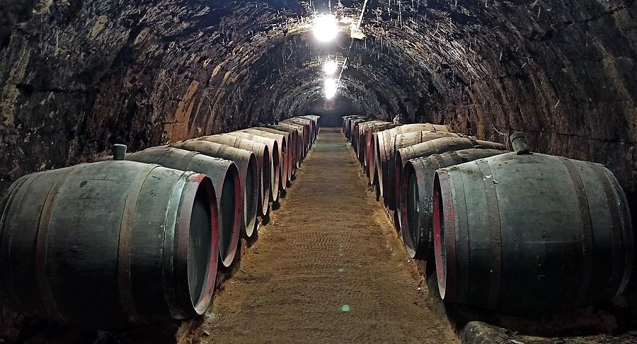 W piwnicach Rakoczego korytarze sięgają nawet 1,5 km w głąb góry Tokaj