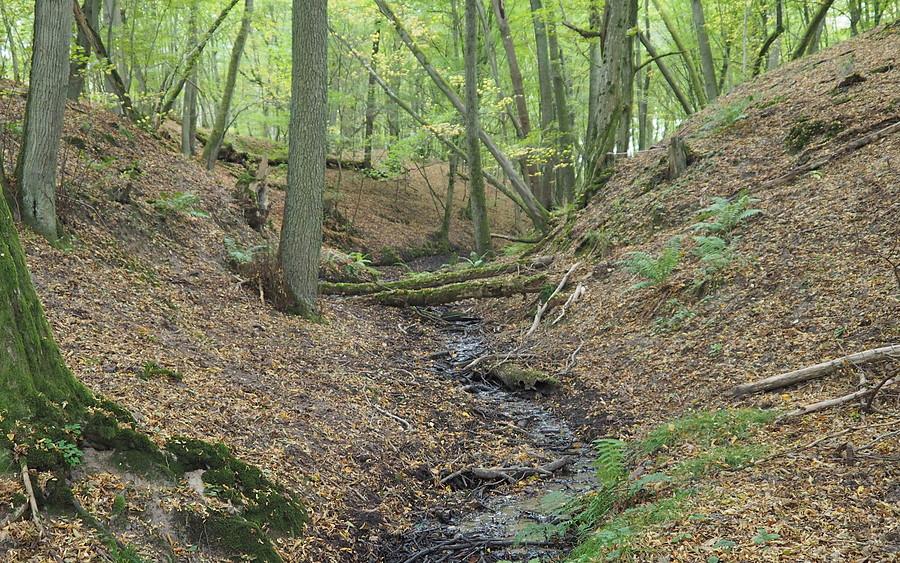 Uroczysko nad Obrą