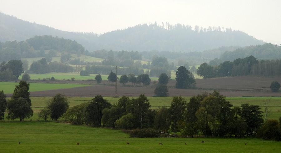 Te kropki to sarenki
