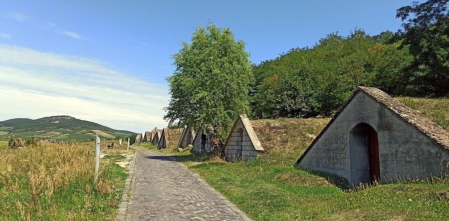 Piwnice na wino Gomboshegyi w Hercegkut