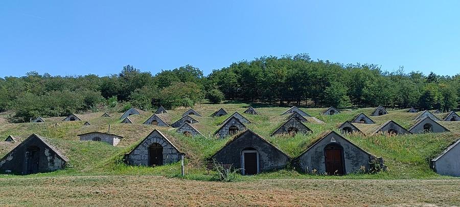 Rzędy winnych piwniczek w kompleksie Gomboshegy