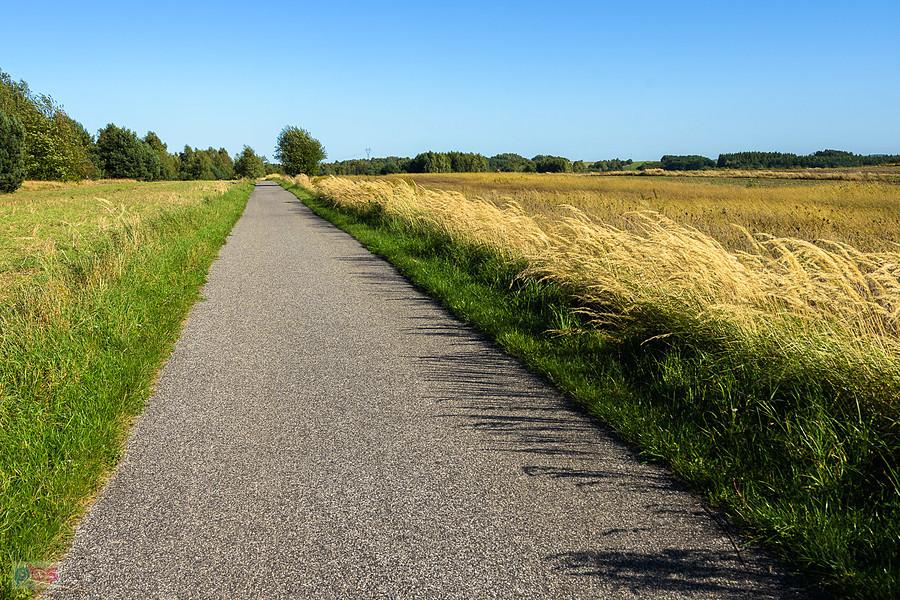 Mirowski gościniec, czyli droga pieszo-rowerowa Żarki - Mirów